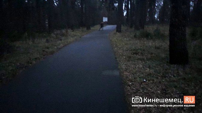 На лыжероллерной трассе в Кинешме дети тренируются в полной темноте фото 2