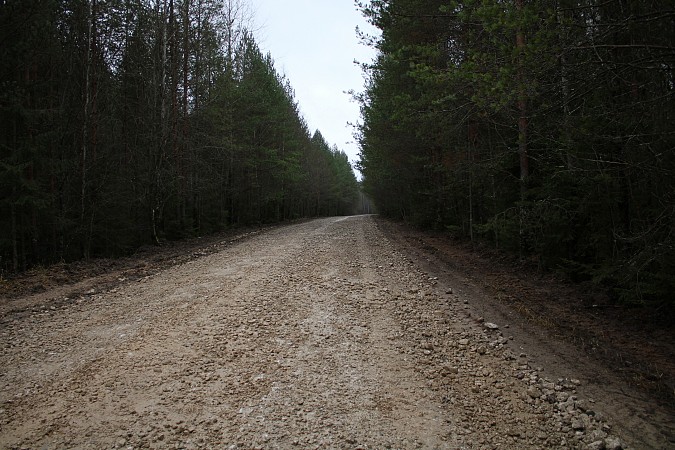 В Кинешемском районе завершился ремонт еще двух дорог фото 6