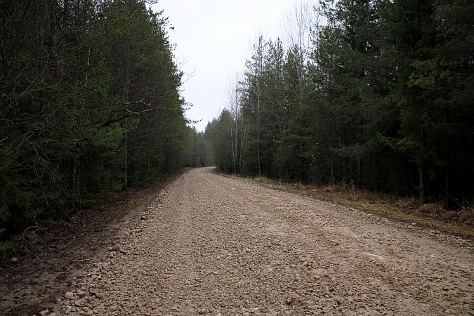В Кинешемском районе завершился ремонт еще двух дорог фото 3