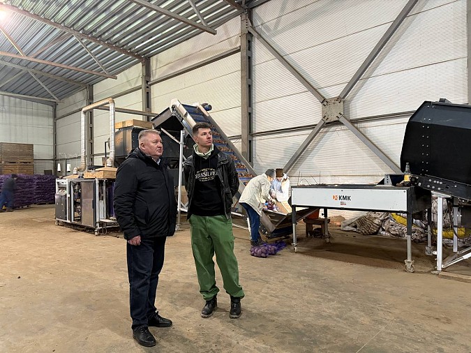 Урожай картофеля в регионе в 2025 году превысил 19 тыс. тонн фото 2