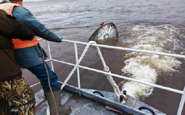 Спасатели несколько дней ищут рыбака с перевернувшейся на Волге лодки фото 3