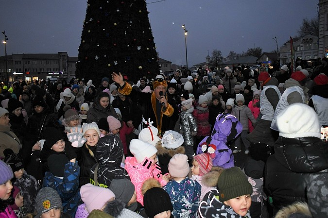 В Кинешме встретили Деда Мороза и зажгли огни на главной новогодней ёлке фото 4
