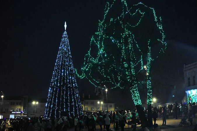 В Кинешме встретили Деда Мороза и зажгли огни на главной новогодней ёлке фото 11