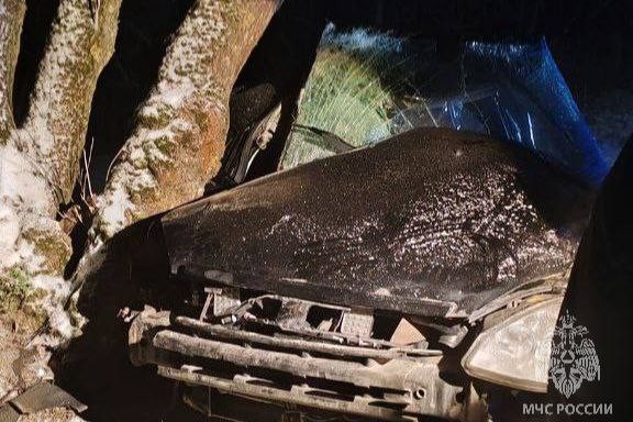 На ул.Баха водитель на «Ладе Приоре» влетел в дерево фото 4