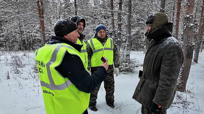 В Ивановской области проходит операция «Елочка» фото 2