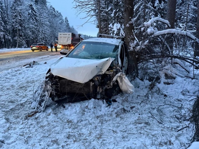 В Ивановской области 2 и 3 января в ДТП погибли 6 человек фото 5