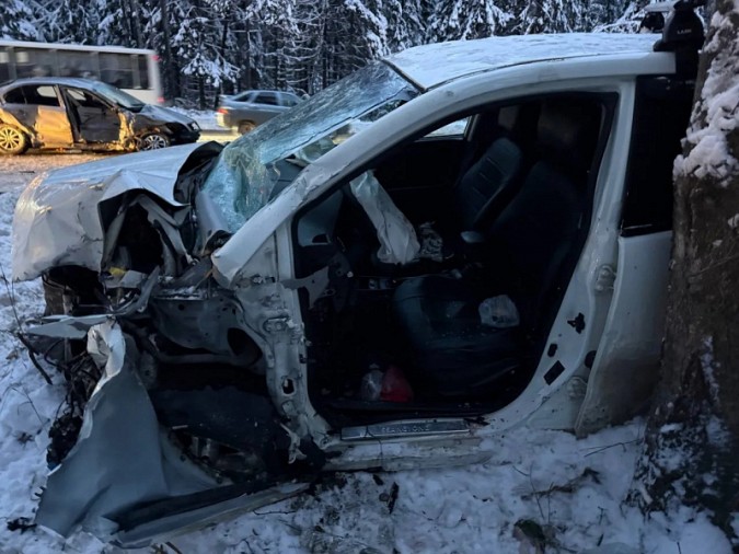 В Ивановской области 2 и 3 января в ДТП погибли 6 человек фото 6