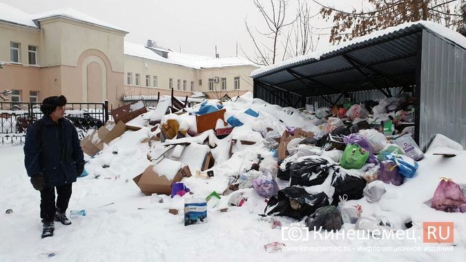«Фрэнсис» и уголовщина: почему контейнерные площадки Кинешмы завалены мусором? фото 2