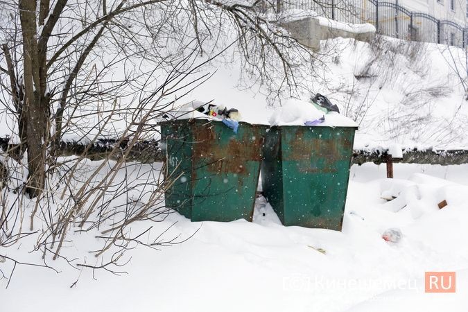 «Фрэнсис» и уголовщина: почему контейнерные площадки Кинешмы завалены мусором? фото 3