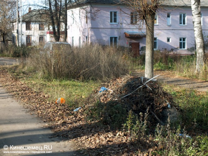 Горы мусора начали складировать не только на свалках, но и вдоль дорог фото 2