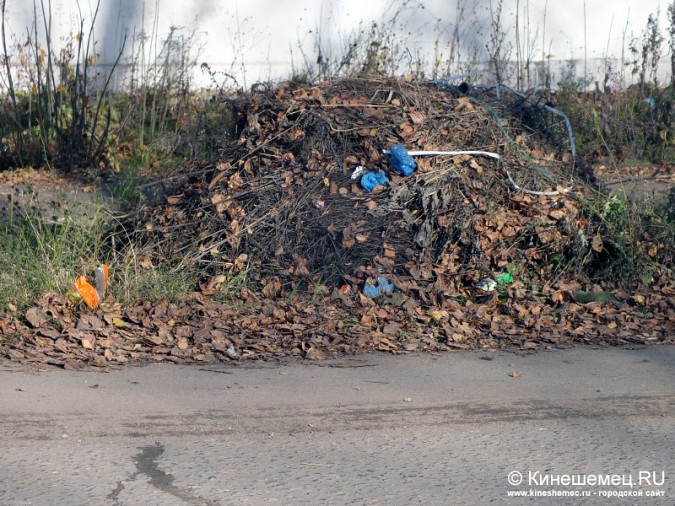 Горы мусора начали складировать не только на свалках, но и вдоль дорог фото 4