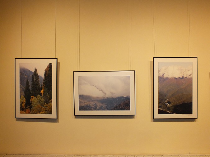 В Кинешме провели «Сумерки в музее» фото 18