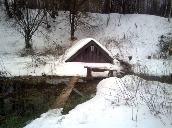 В Ивановской области бобры «перекрыли воду» целой деревне фото 4