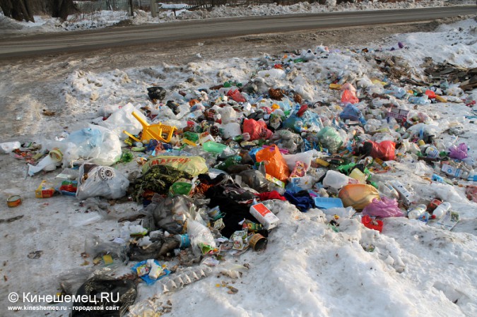 В Кинешме появился ещё один «мусорный проспект» фото 3
