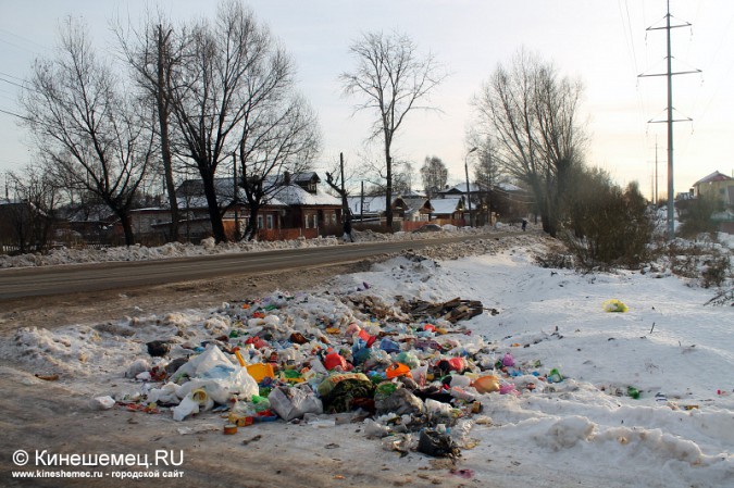 В Кинешме появился ещё один «мусорный проспект» фото 5
