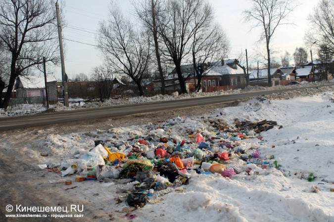 В Кинешме появился ещё один «мусорный проспект» фото 2