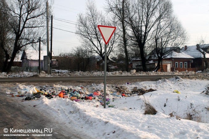 В Кинешме появился ещё один «мусорный проспект» фото 4