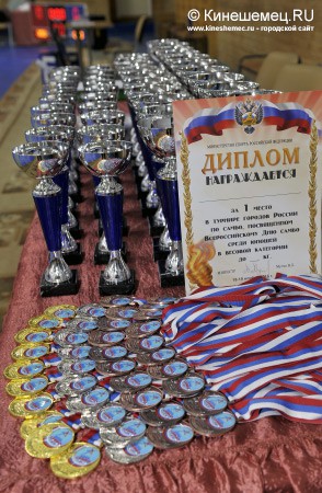 Всероссийский день самбо прошёл в Кинешме фото 34