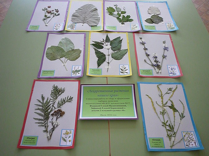 Дошколят знакомят с книгой фото 2