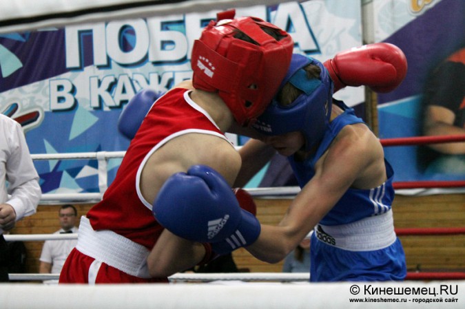 Межрегиональный турнир по боксу прошёл в Кинешме фото 11