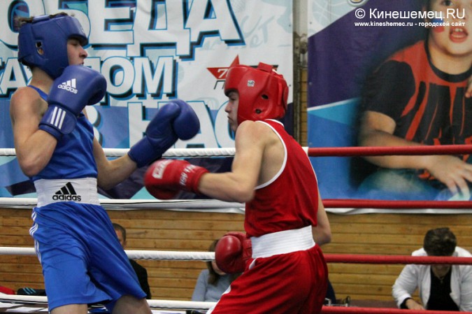 Межрегиональный турнир по боксу прошёл в Кинешме фото 15