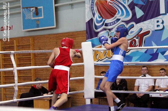 Межрегиональный турнир по боксу прошёл в Кинешме фото 13
