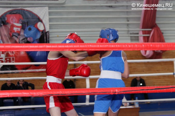 Межрегиональный турнир по боксу прошёл в Кинешме фото 36