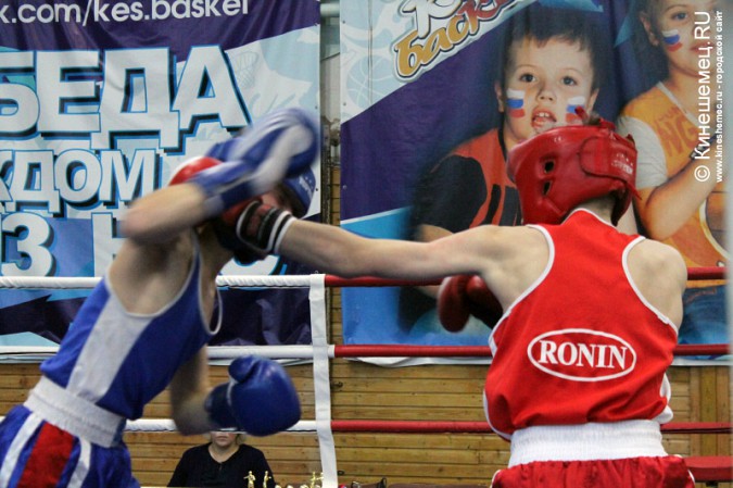 Межрегиональный турнир по боксу прошёл в Кинешме фото 19