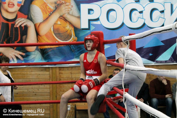 Межрегиональный турнир по боксу прошёл в Кинешме фото 28