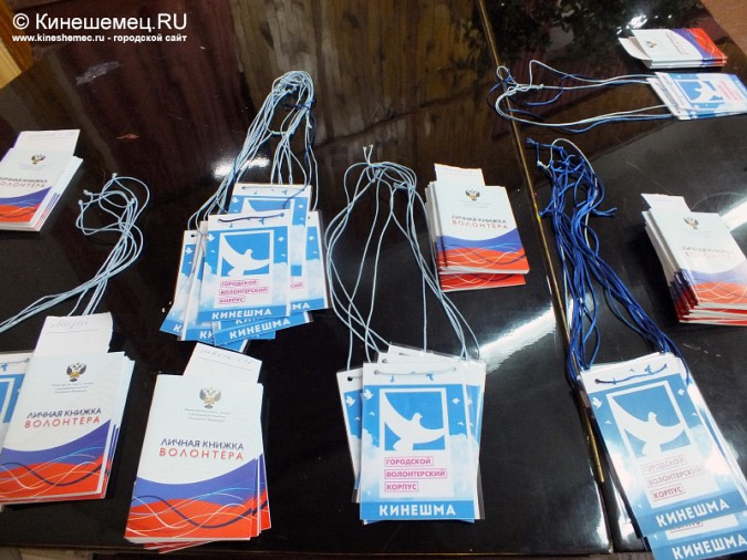 В Кинешме отметили День волонтёра фото 12
