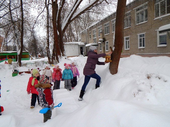 В кинешемском детском саду подкармливают пернатых фото 3