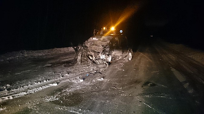 Автоледи в Ивановской области врезалась в дерево фото 3