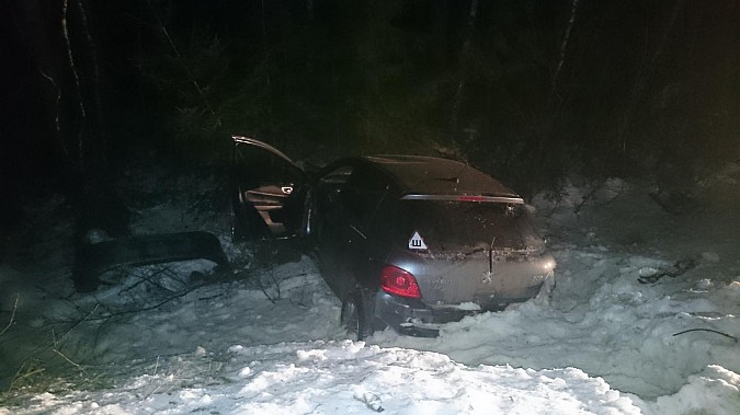 Автоледи в Ивановской области врезалась в дерево фото 4