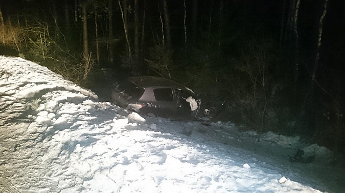 Автоледи в Ивановской области врезалась в дерево фото 5