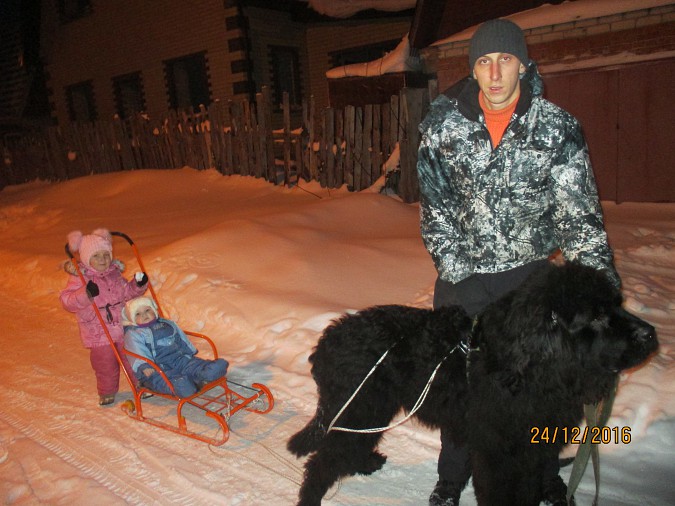 3 место — семья Волковых.