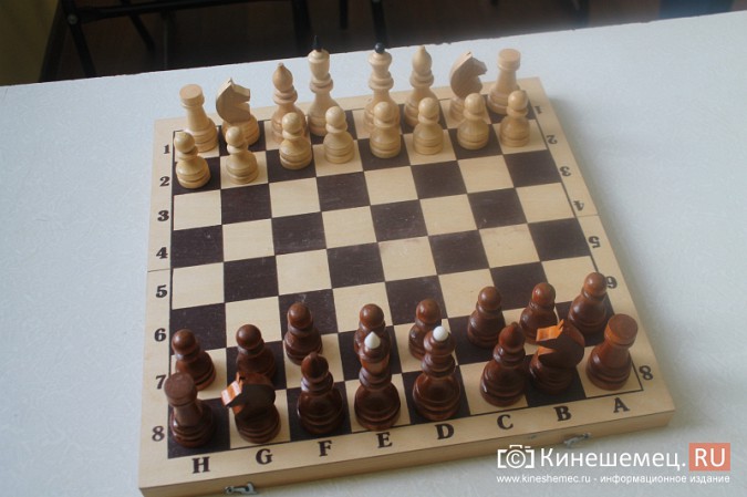 У боксёров и шахматистов Кинешмы теперь достойные условия фото 6