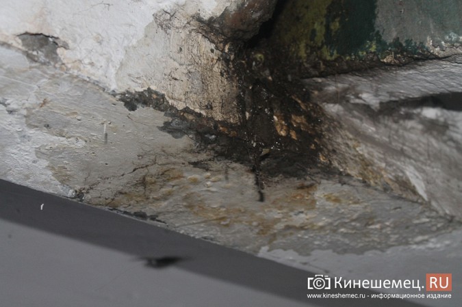 В подъезде одного из домов Кинешмы протекла крыша фото 8