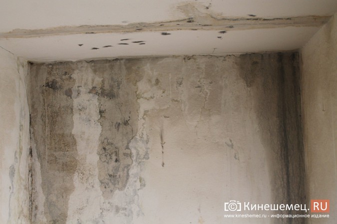 В подъезде одного из домов Кинешмы протекла крыша фото 7