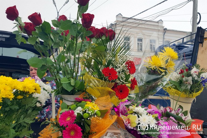 Цветочная ярмарка в Кинешме скатилась до уровня базара фото 6