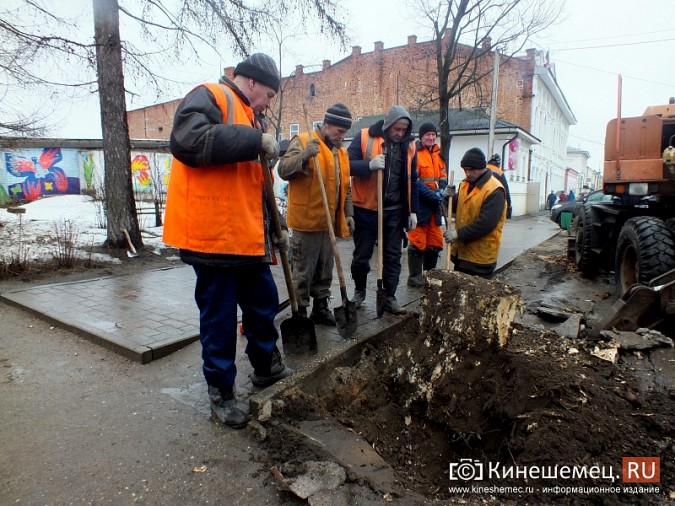 В Кинешме после «ландшафтного лесоповала» выкорчёвывают пни фото 8