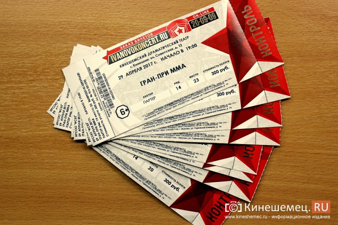 В продажу поступили билеты на турнир ММА в Кинешме фото 2