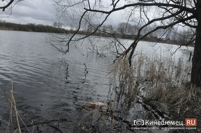 Кинешемка утопилась в озере фото 4