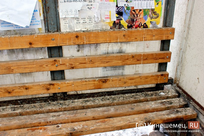 Остановочный павильон в центре Кинешмы загадили голуби фото 4