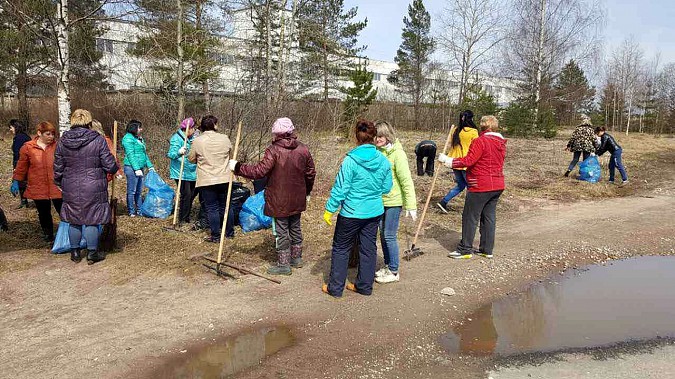 Кинешемские перевозчики вышли на субботник фото 2