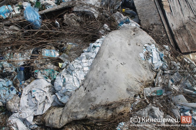 Представитель федерального штаба ОНФ против мусорной свалки в Кинешемском районе фото 6