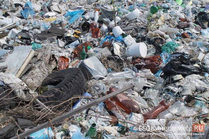 Представитель федерального штаба ОНФ против мусорной свалки в Кинешемском районе фото 7