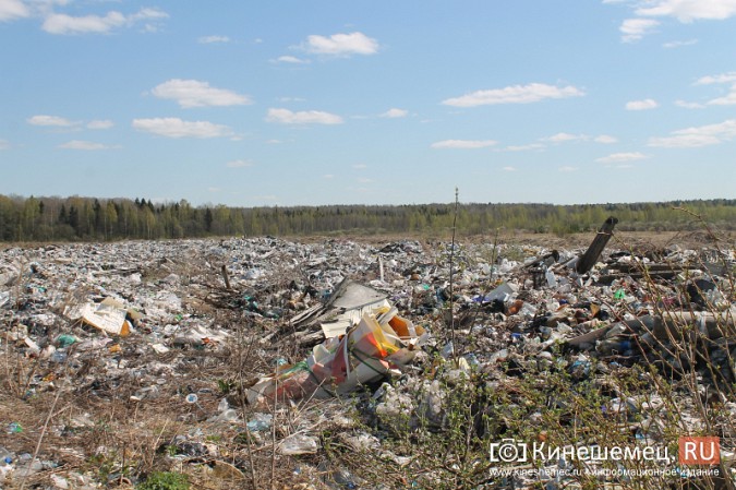 Представитель федерального штаба ОНФ против мусорной свалки в Кинешемском районе фото 10