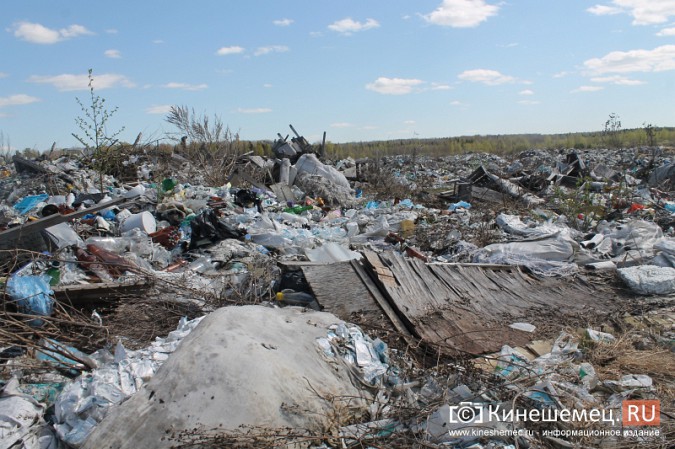 Представитель федерального штаба ОНФ против мусорной свалки в Кинешемском районе фото 4