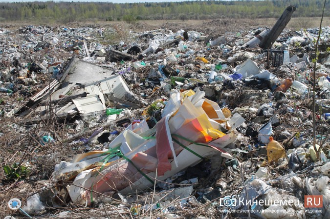 Представитель федерального штаба ОНФ против мусорной свалки в Кинешемском районе фото 11