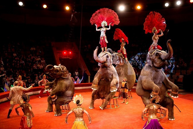 Уникальная цирковая труппа удивляет ивановцев фото 2